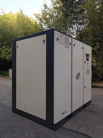 Винтовой компрессор GMP GM-55-8